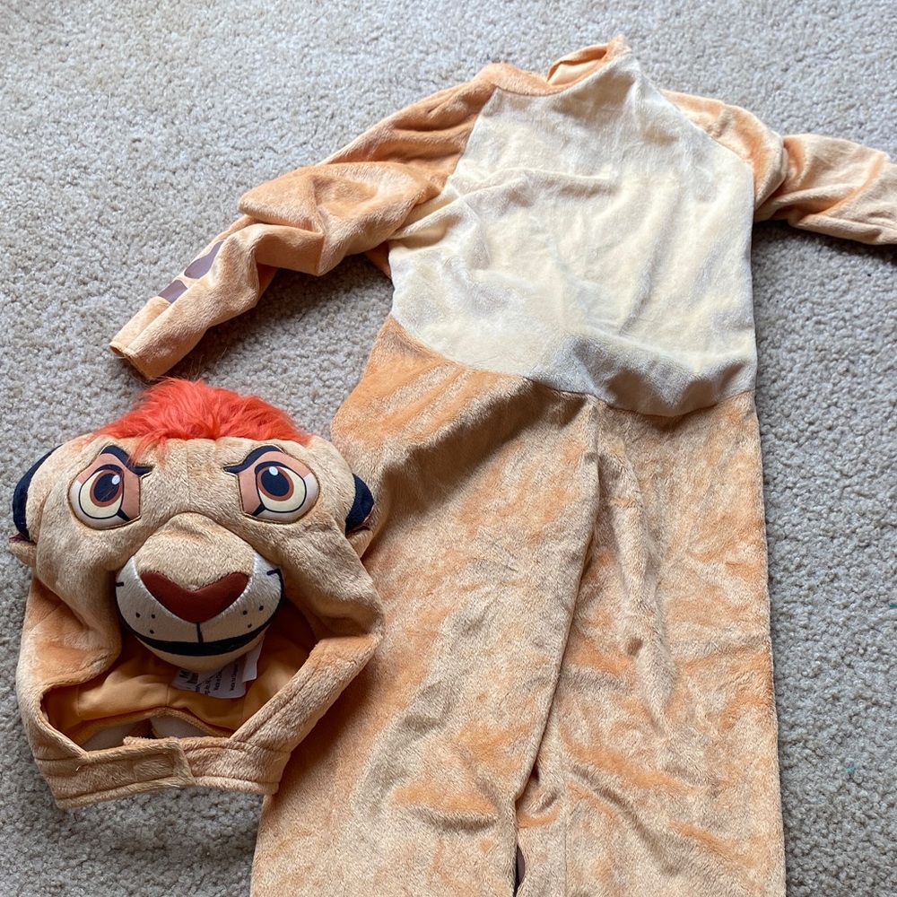 Lion Gaurd costume
